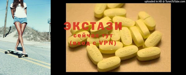 прущие грибы Новозыбков