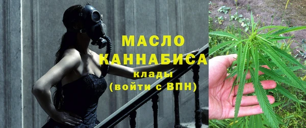 прущие грибы Новозыбков