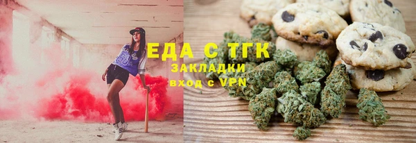 прущие грибы Новозыбков
