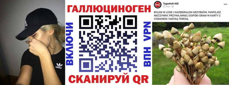 наркошоп  hydra зеркало  Галлюциногенные грибы Psilocybe  Нефтегорск 